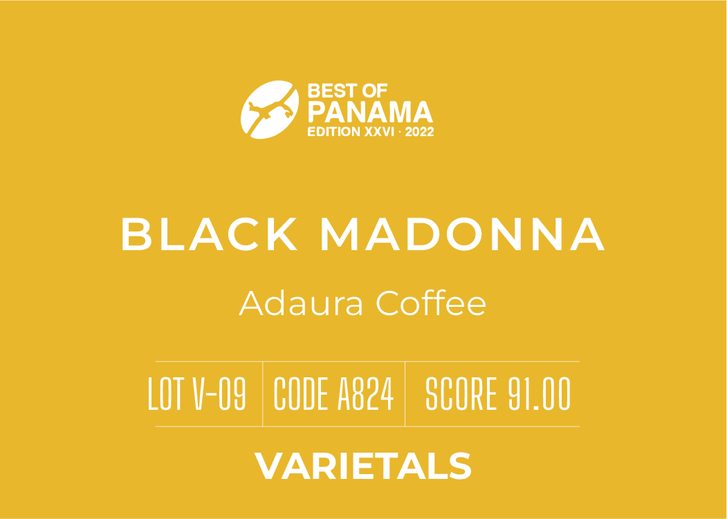 2022最佳巴拿馬 V-09: Black Madonna